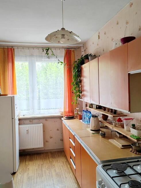 FUNKCJONALNE i ROZKŁADOWE 3 pokoje KARPACKIE