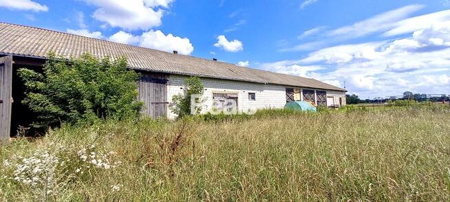 Działka, stodoła, dom Domosław, gmina Winnica.