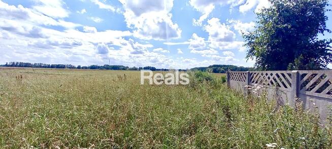 Działka, stodoła, dom Domosław, gmina Winnica.