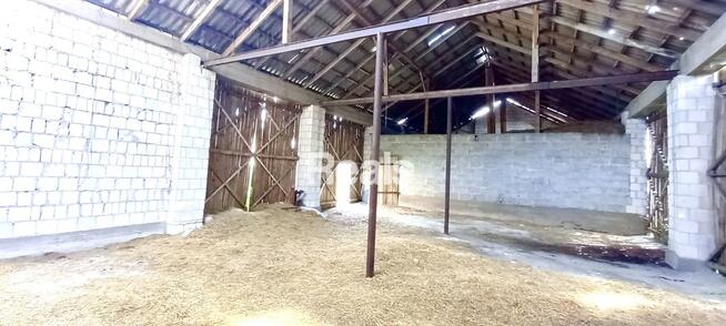 Działka, stodoła, dom Domosław, gmina Winnica.