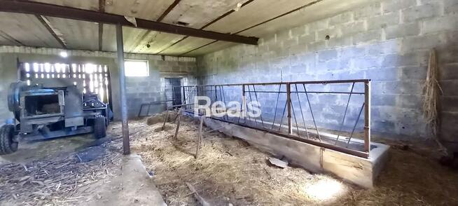 Działka, stodoła, dom Domosław, gmina Winnica.