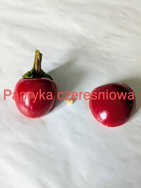 Papryka czereśniowa Świeże nasiona2025 faszerowanie