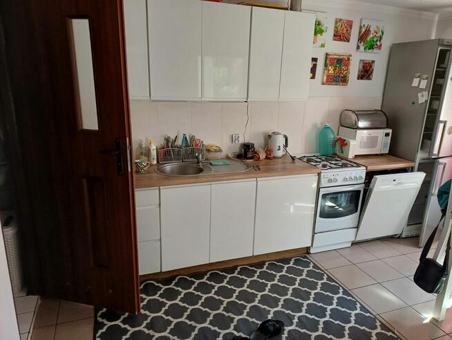 Działka ROD Poznań Krzesiny