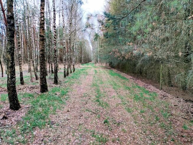 Atrakcyjna działka 33,337 m2