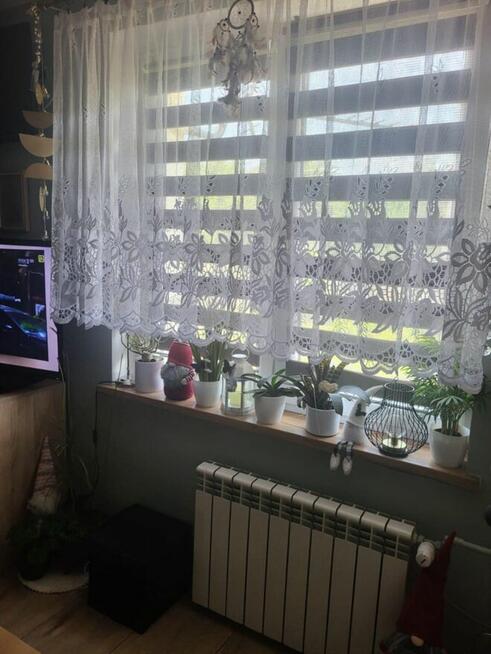 Mieszkanie dostępne.