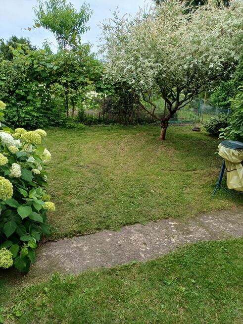 Działka ROD Poznań Krzesiny