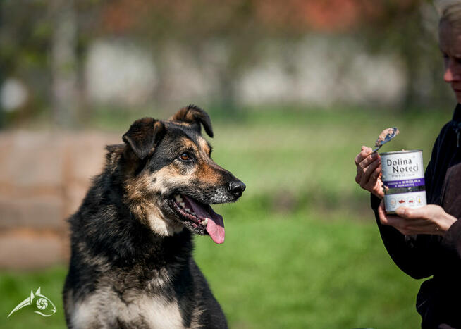 Pogodny Leo zasiedział się w Fundacji :)