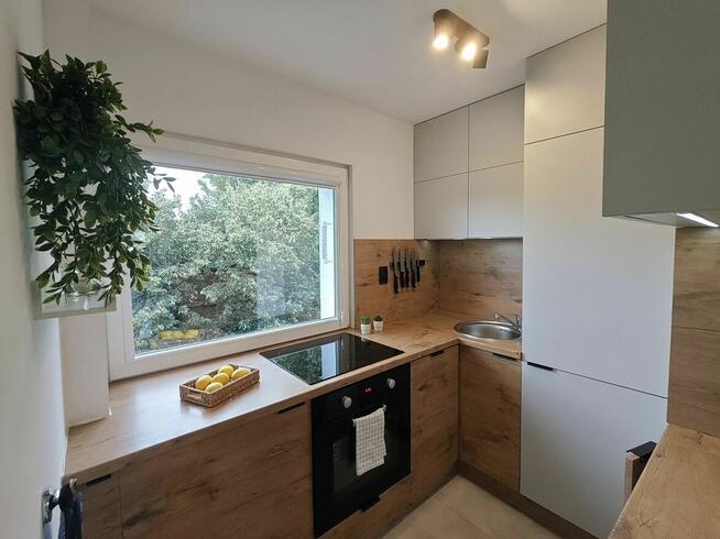 Komfortowe, rozkładowe M4 blisko UMed Polesie