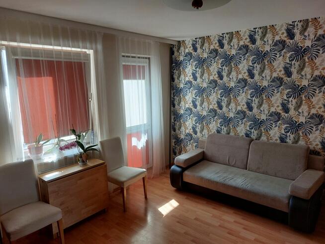 Wynajmę mieszkanie 2 pokojowe - SUPER lokalizacja