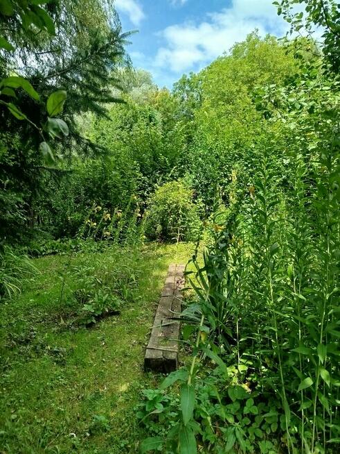 Działka Rod na sprzedaż