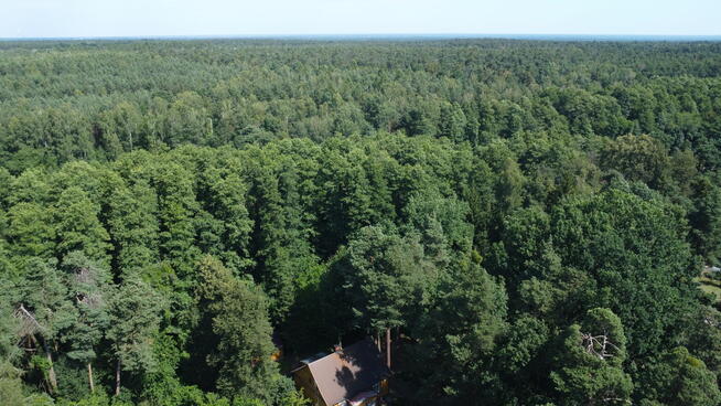 Dom całoroczny gotowy do wprowadzenia