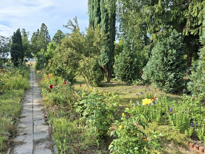 Sprzedam działkę ROD