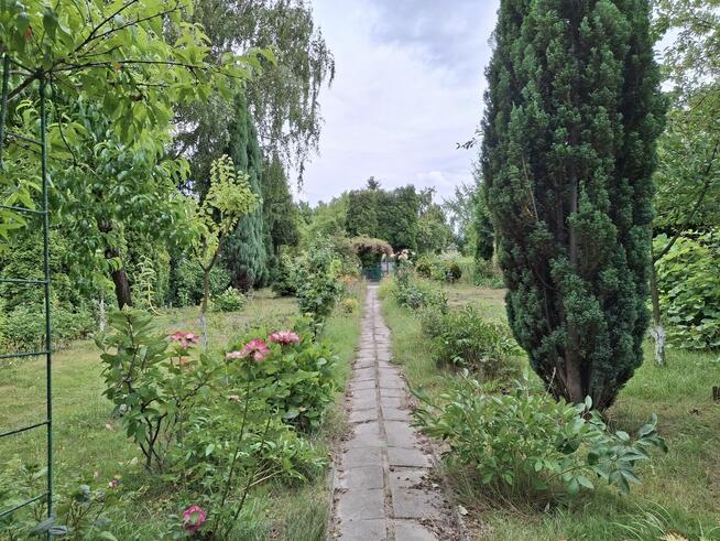 Sprzedam działkę ROD