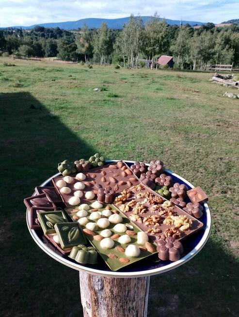 Czekolada z kakaowca