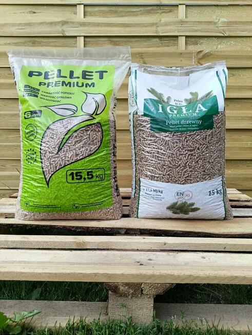 Pellet igła Alan en A1plus certyfikat 18.92 kj transport win