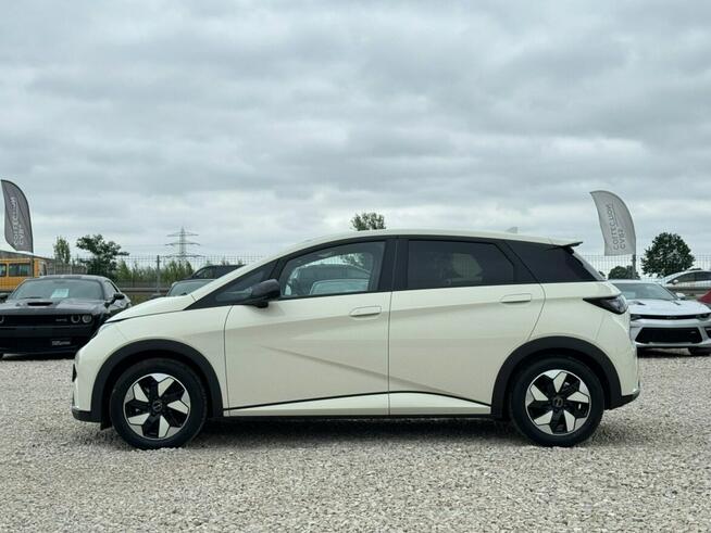 BYD Dolphin Nowy / Bezwypadkowy / Wallbox / Panorama/ Kamery 360 / FV23%