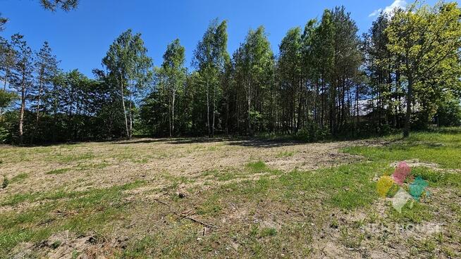 Działka częściowo zadrzewiona, możliwość zabudowy