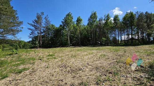 Działka częściowo zadrzewiona, możliwość zabudowy
