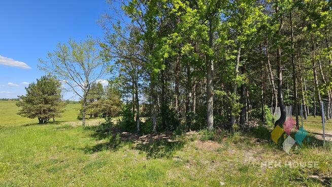 Działka częściowo zadrzewiona, możliwość zabudowy