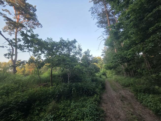 Działka budowlana Dziechciniec gm. Wiązowna