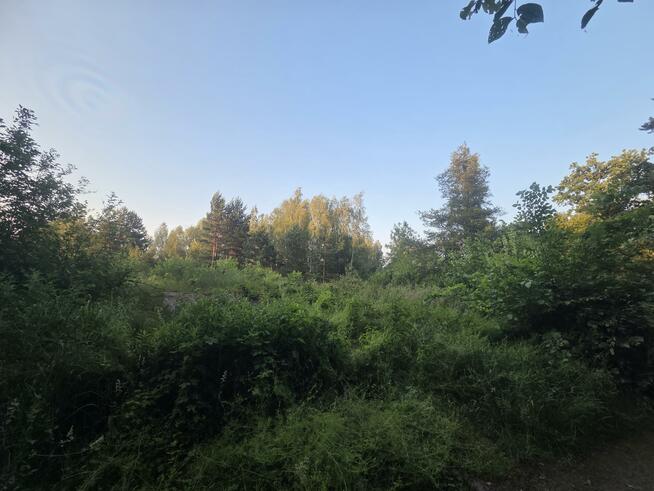 Działka budowlana Dziechciniec gm. Wiązowna