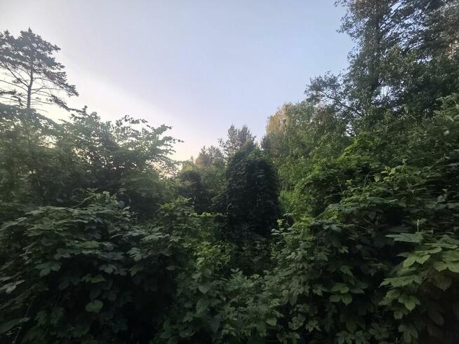 Działka budowlana Dziechciniec gm. Wiązowna