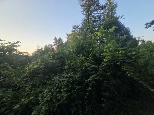 Działka budowlana Dziechciniec gm. Wiązowna