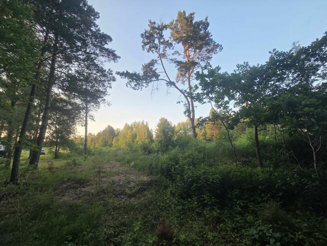 Działka budowlana Dziechciniec gm. Wiązowna