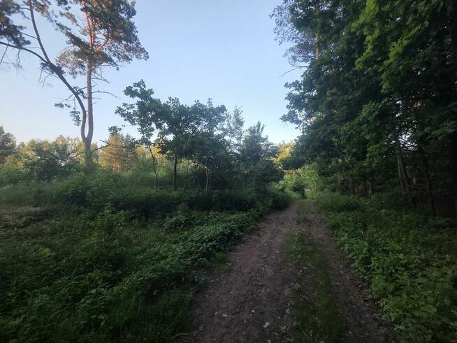 Działka budowlana Dziechciniec gm. Wiązowna