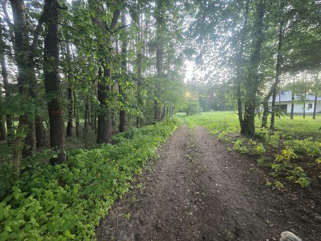 Działka budowlana Dziechciniec gm. Wiązowna