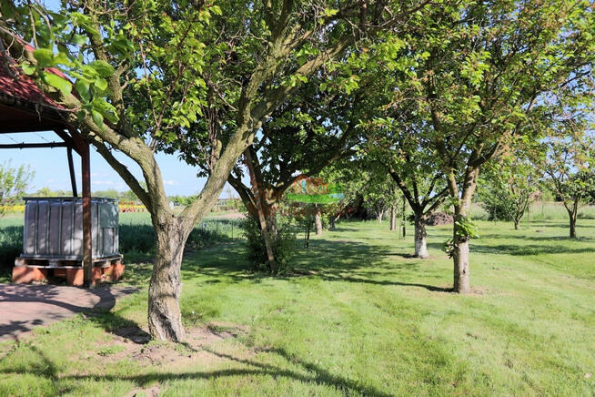 Działka rekreacyjna Jędrzychowice gm. Szlichtyngowa,