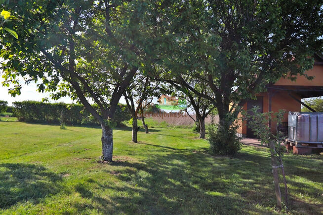 Działka rekreacyjna Jędrzychowice gm. Szlichtyngowa,