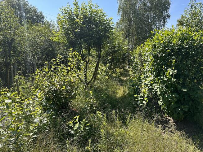 Działka budowlana Pątnów Legnicki gm. Kunice,