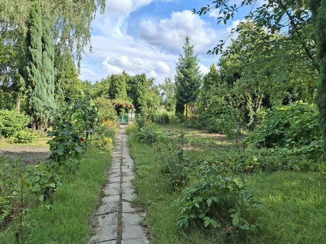 Sprzedam działkę ROD