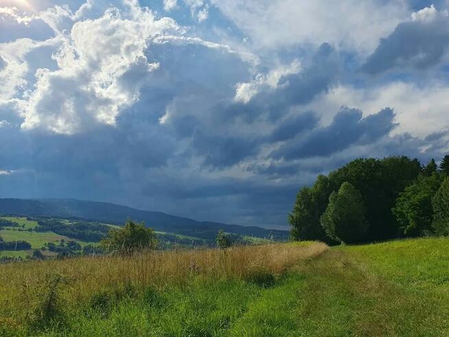 Kupię prywatnie gospodarstwo / dom z zabudowaniami min. 1 ha