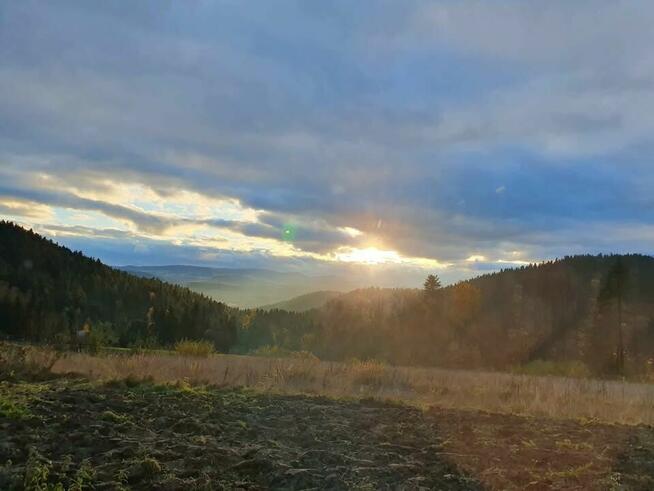 Kupię prywatnie gospodarstwo / dom z zabudowaniami min. 1 ha
