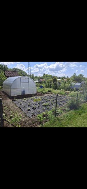 Działka rod Kuzniczka