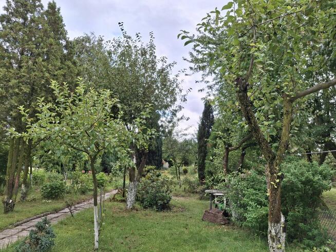 Sprzedam działkę ROD