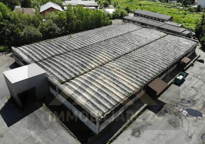 Hala magazynowo-produkcyjna 4 799 m² – Ruda Śląska – inwesty