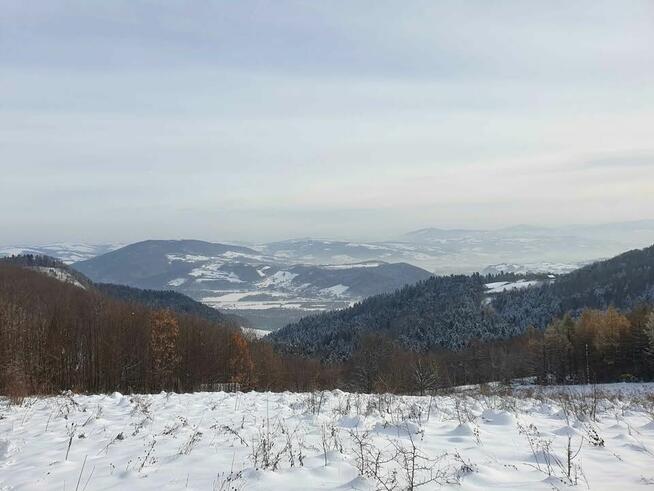 Kupię prywatnie gospodarstwo / dom z zabudowaniami min. 1 ha