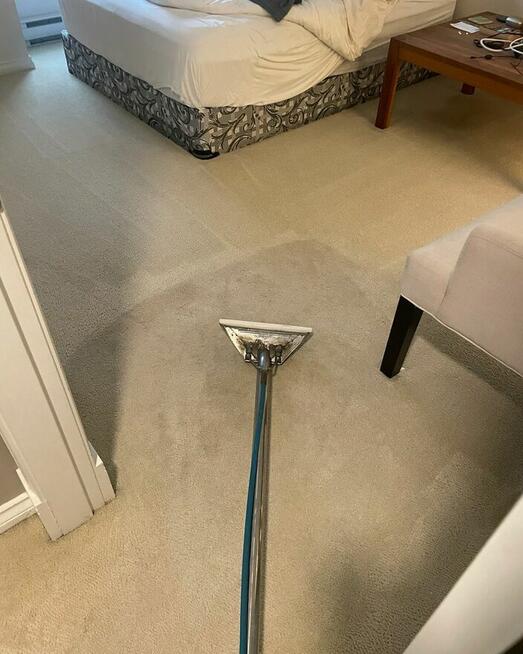 Pranie Materace Wózków Zaston Rolet Tapicerki Skórzanej Samo