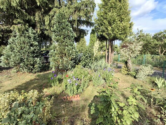 Sprzedam działkę ROD