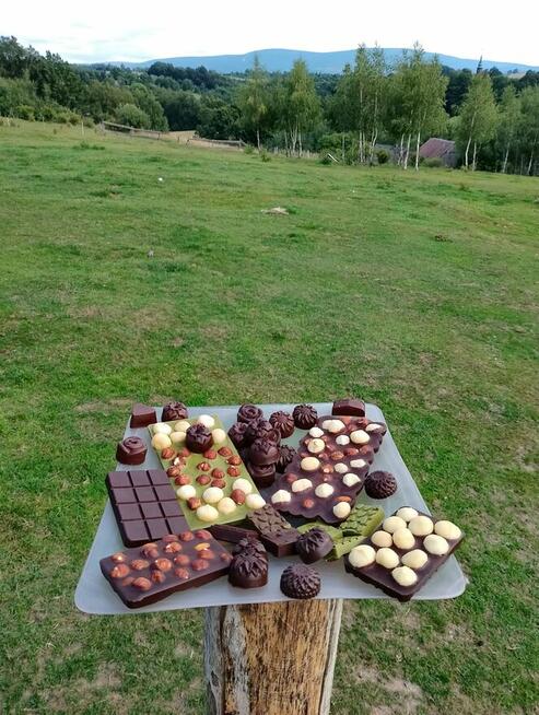 Czekolada z kakaowca