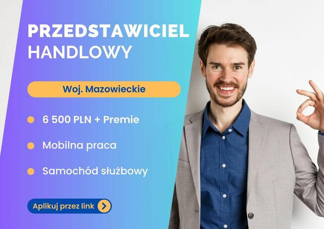 Przedstawiciel Handlowy