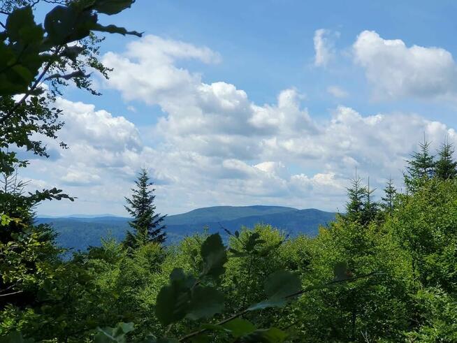 Kupię prywatnie gospodarstwo / dom z zabudowaniami min. 1 ha