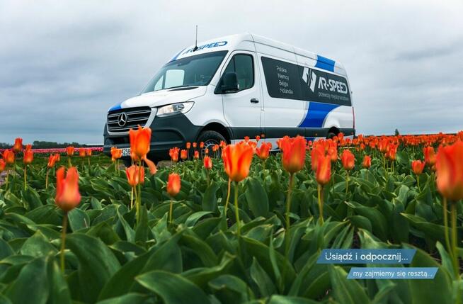 AR-SPEED – Lider przewozów do Holandii, Belgii i Niemiec!