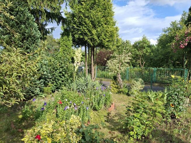 Sprzedam działkę ROD