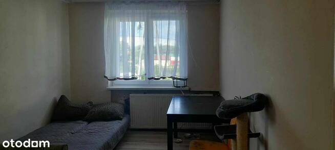 Ochaby Małe - wolnostojący dom na sprzedaż.