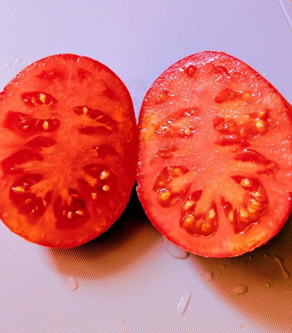 Bawole serce pomidor smak stara odmiana nasiona