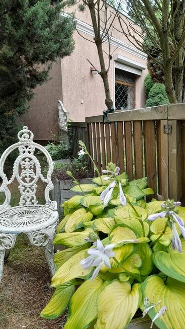 Dom w stylu południowoamerykańskim- Hacjenda